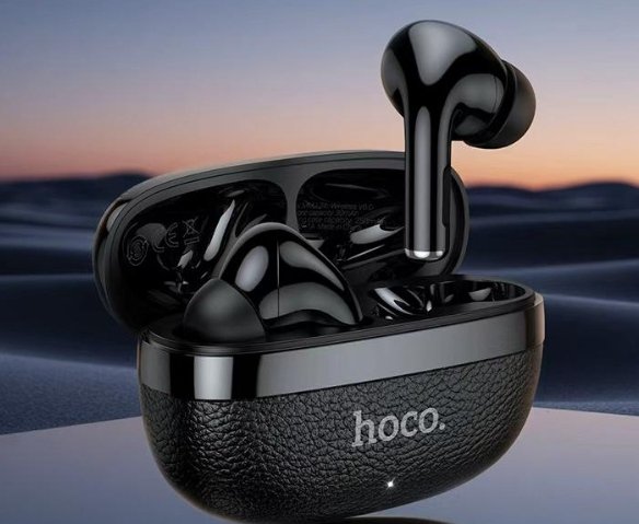 Hoco earbuds